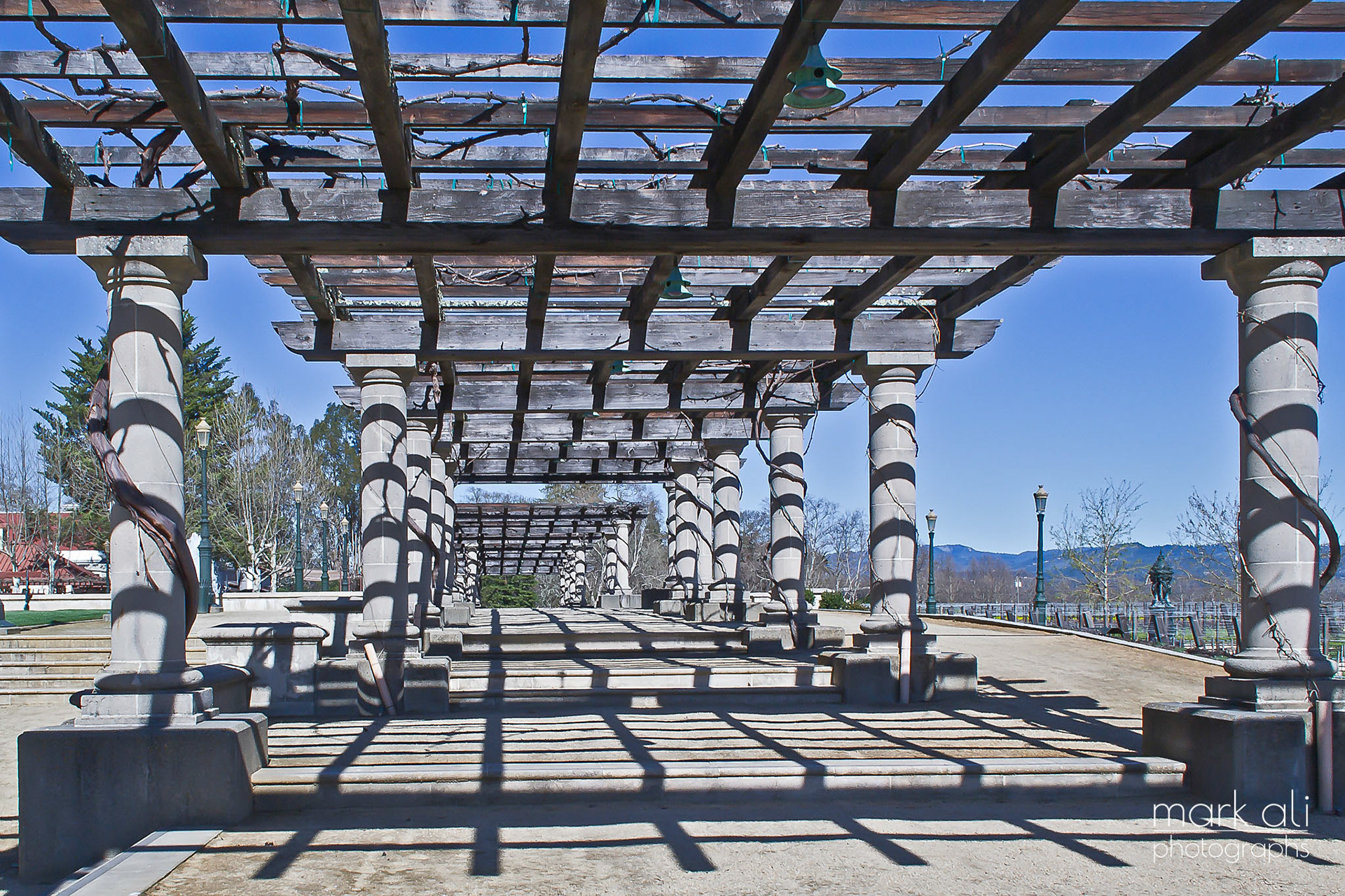 Looking down a long pergola at a winery, with long parallel shadow lines.