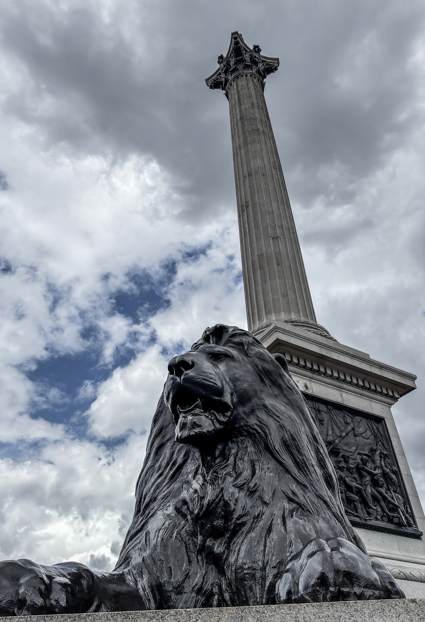 One of the four lions guarding Nelson's Column in Trafalgar Square, London.