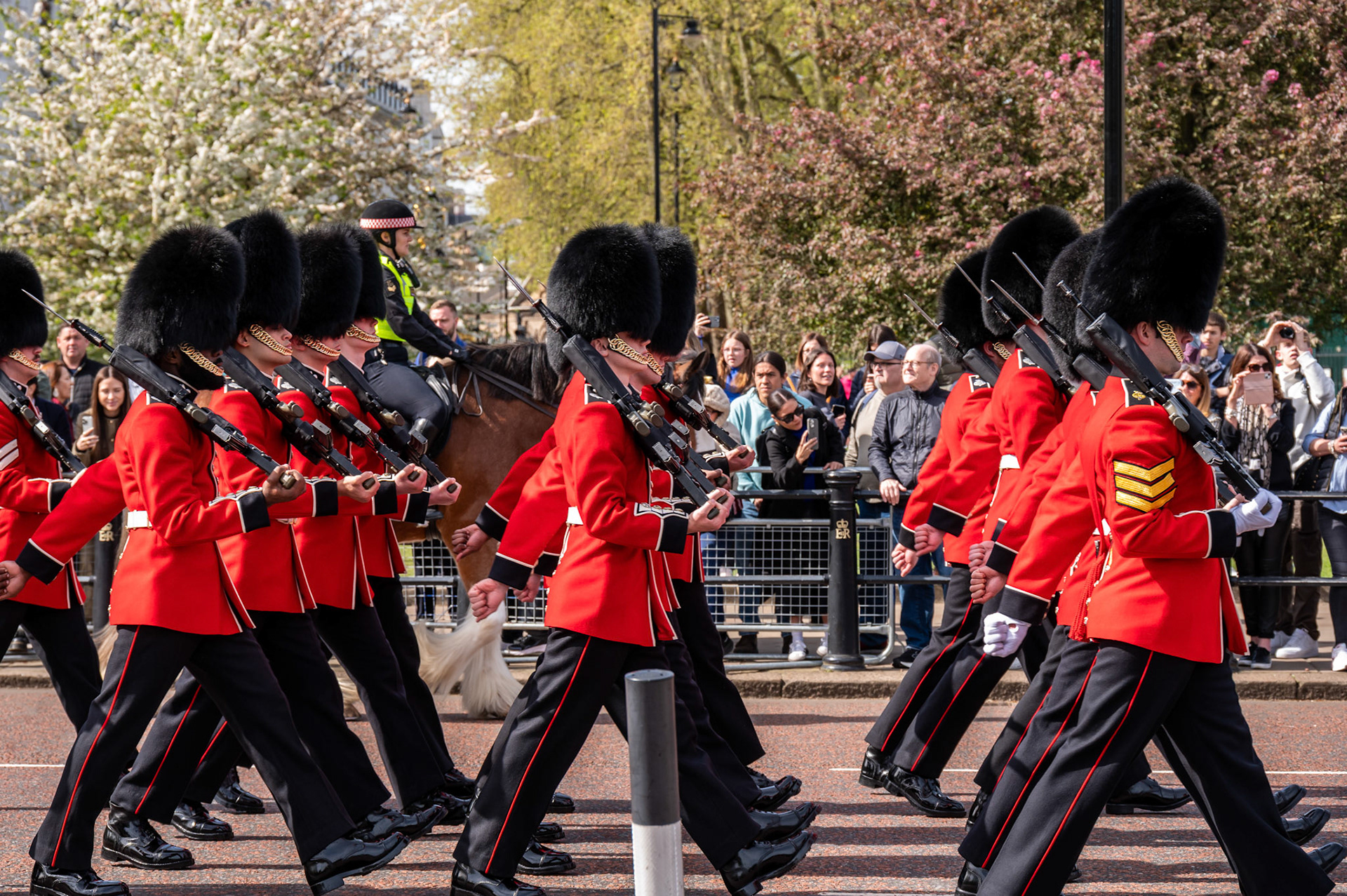 The New Guard marches to Buckingham Palace for the Changing of the Guard.