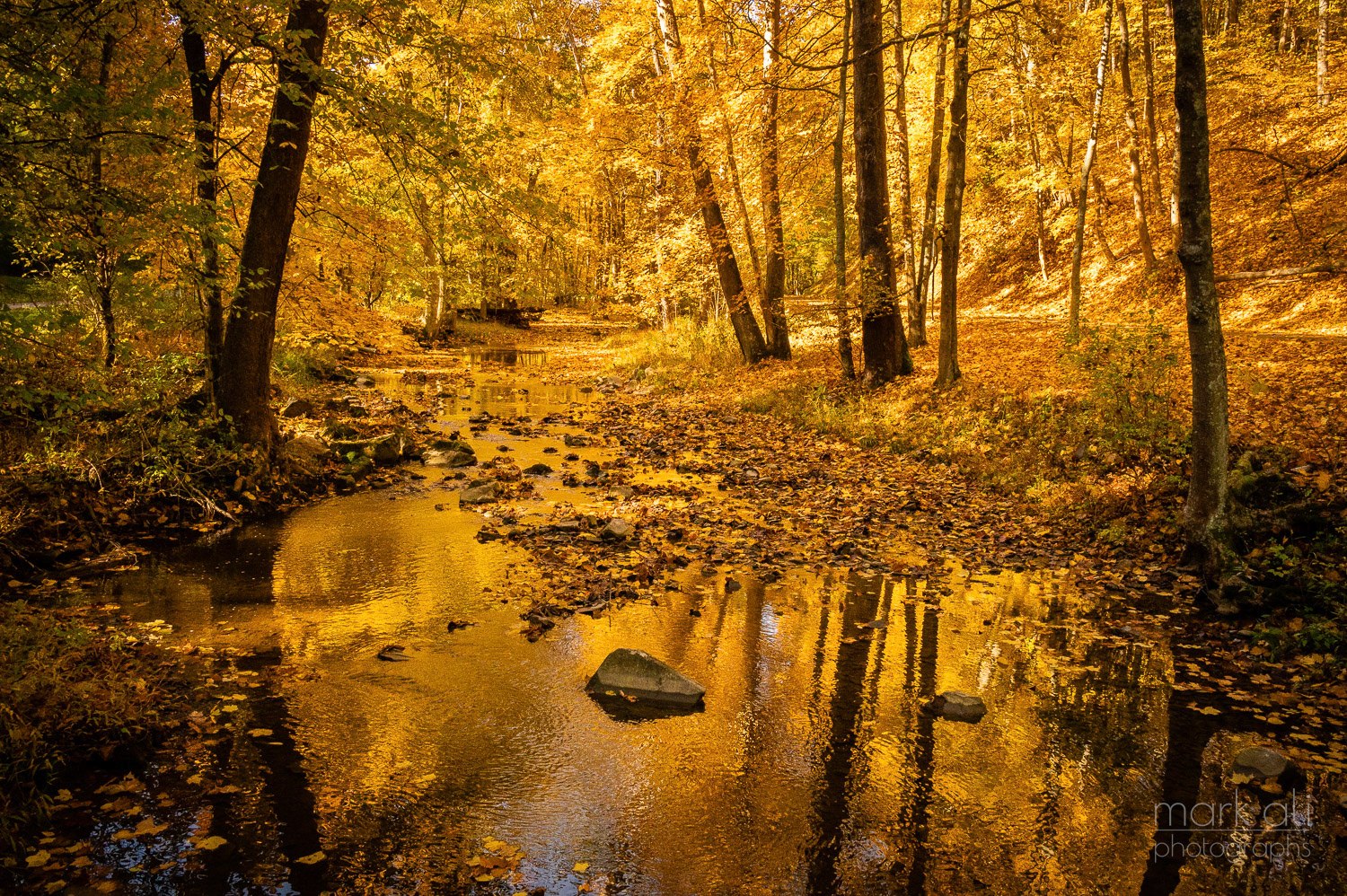 "Reflections on Mingo Creek"
