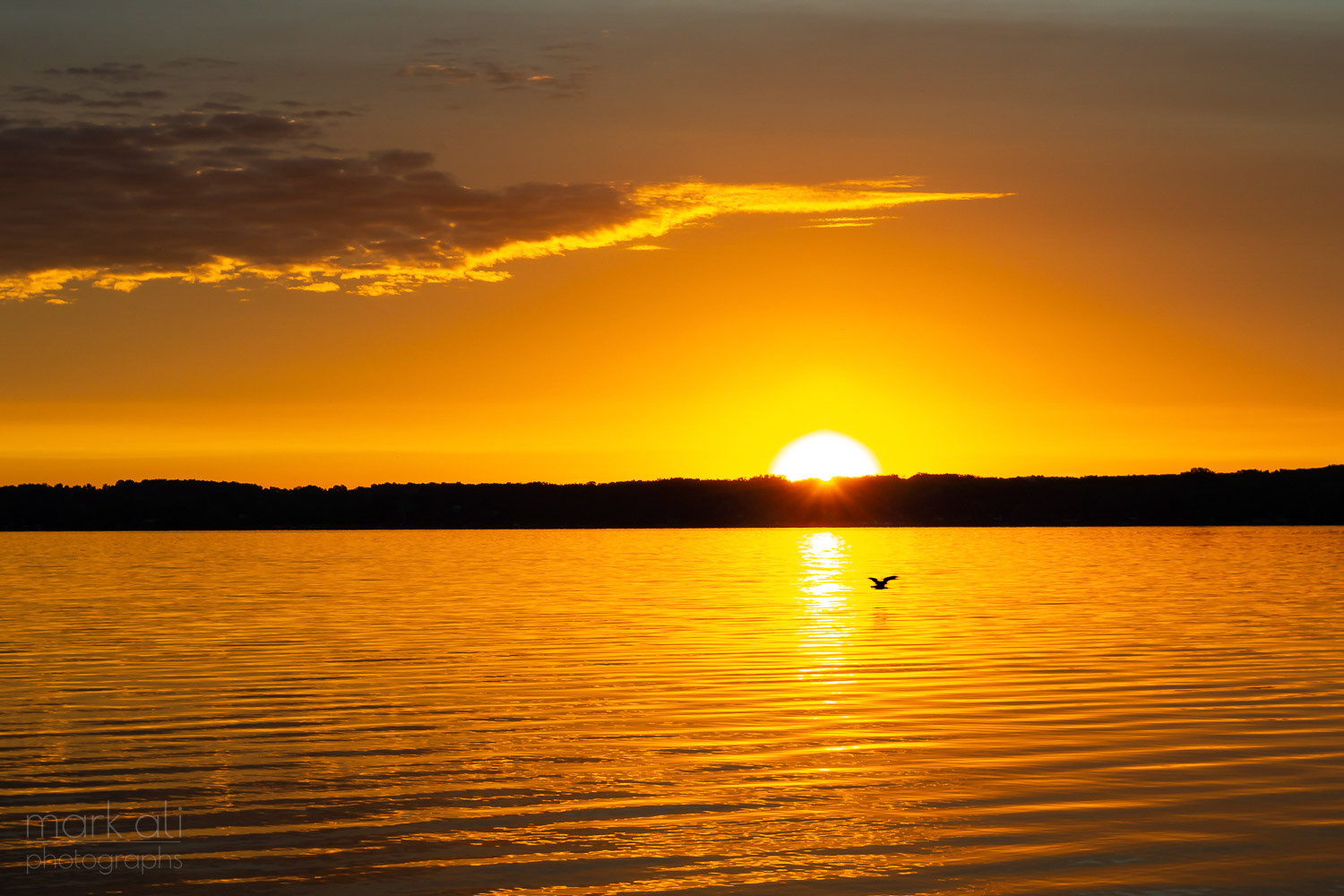 "Here Comes the Sun"