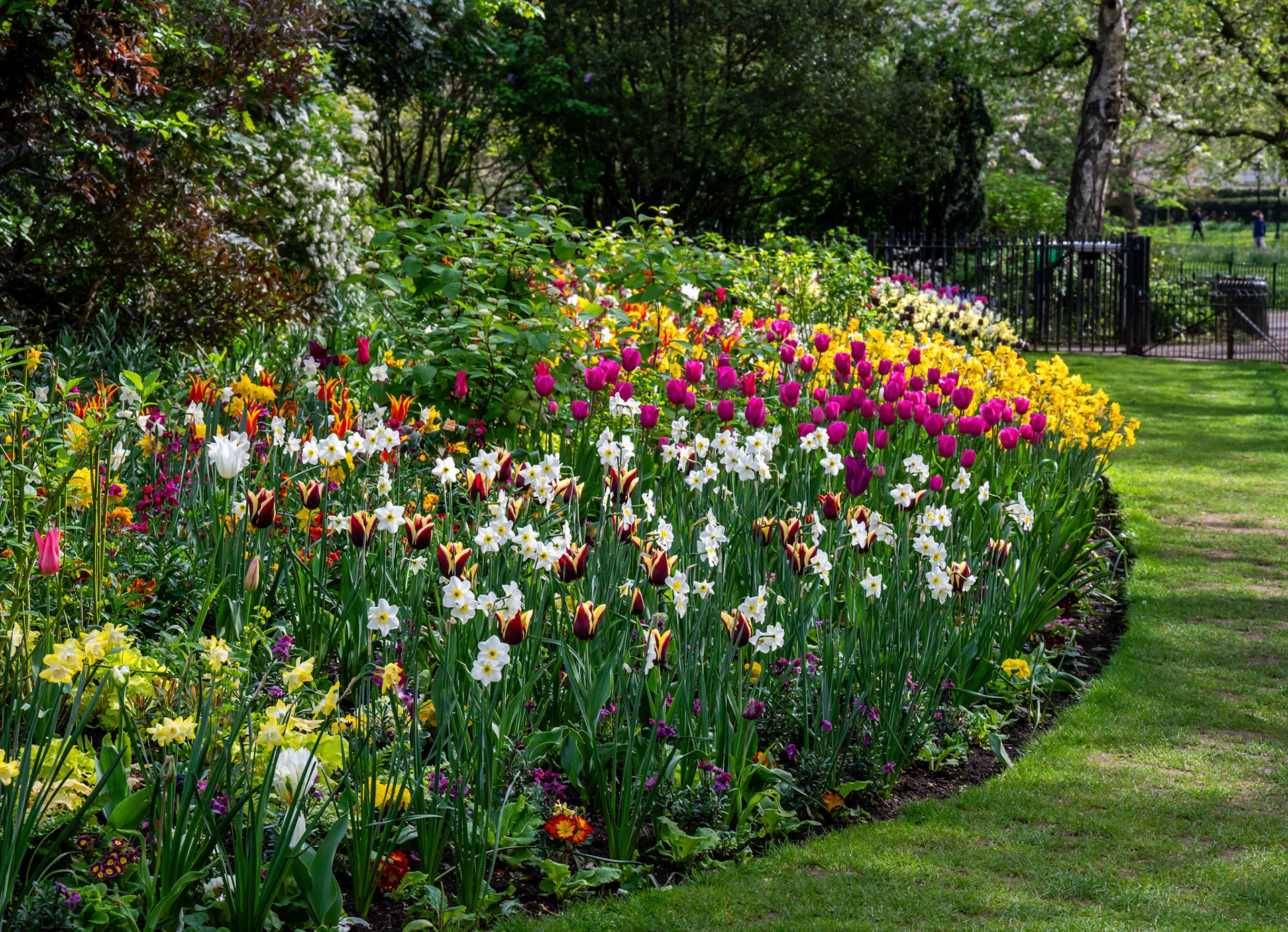 Flowers in St. James Park, London
