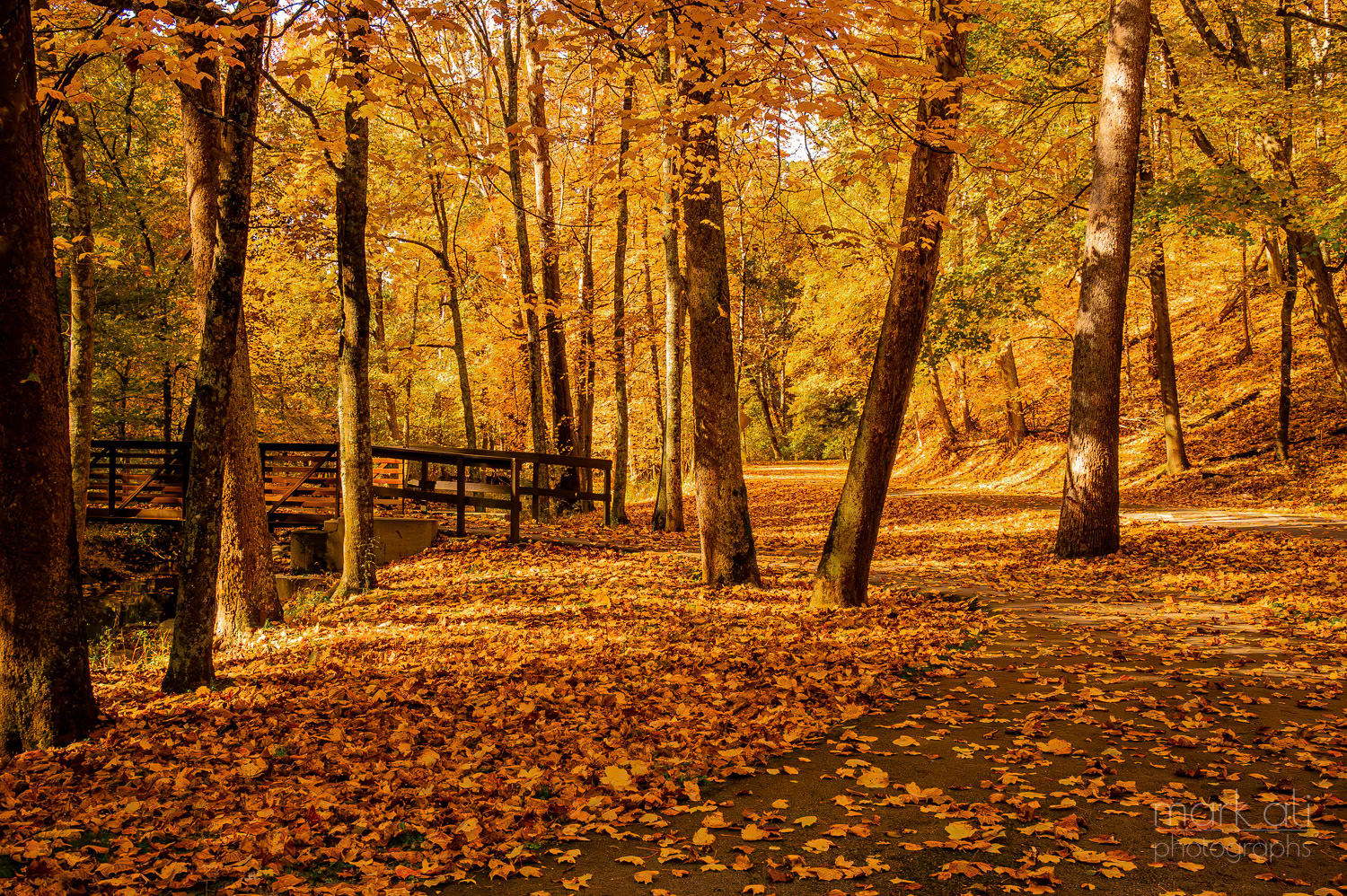 "Autumn at Mingo Creek"