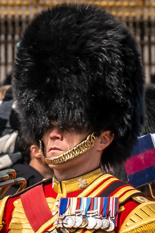 Close-up of a member of the Old Guard.