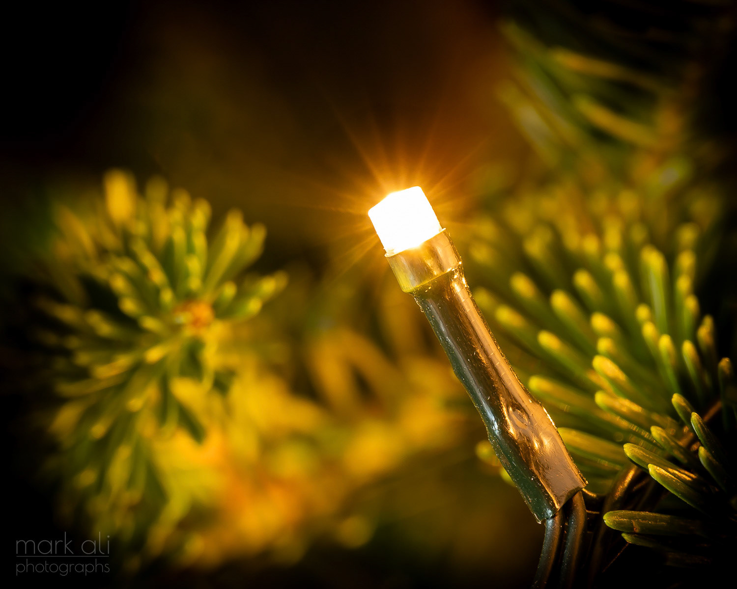 "Christmas Light"