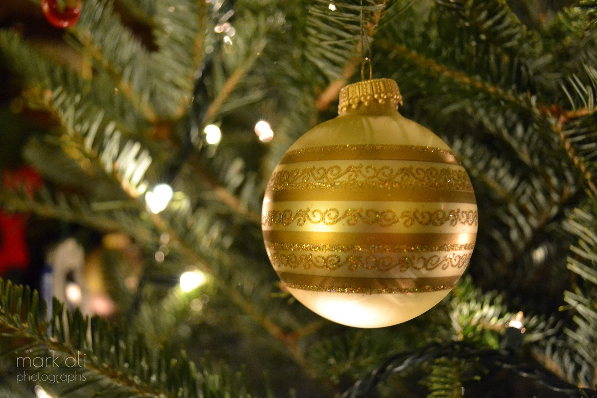"Gold Bulb"