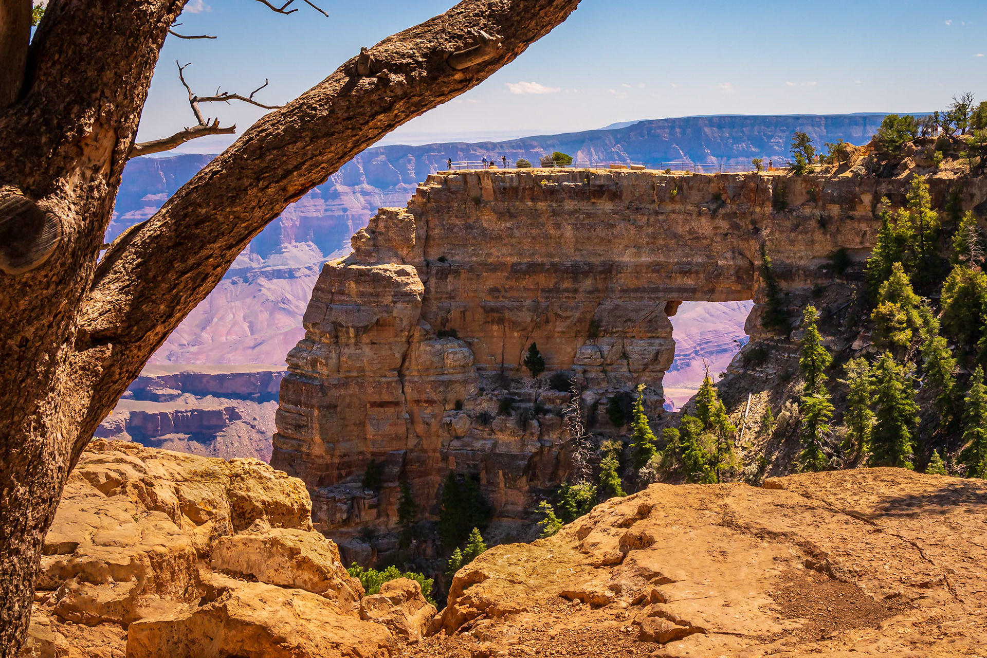 A view of Angels Window on the north rim of the Grand Canyon