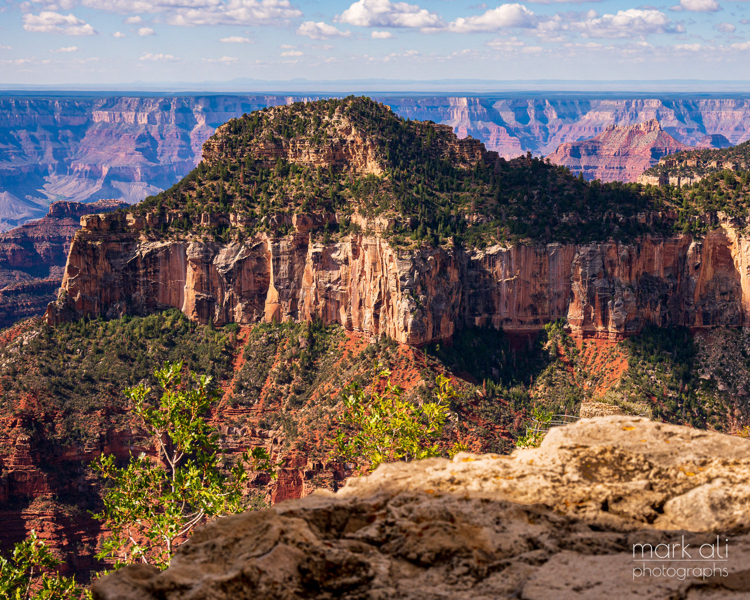 Grand Canyon 12