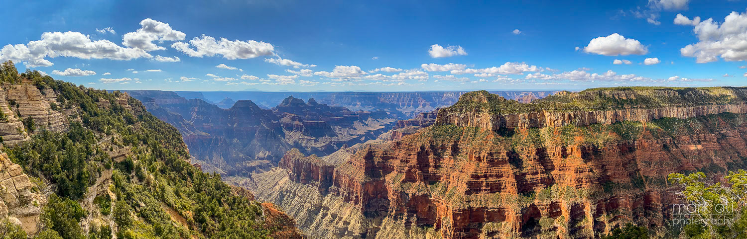 "Canyon Panorama"