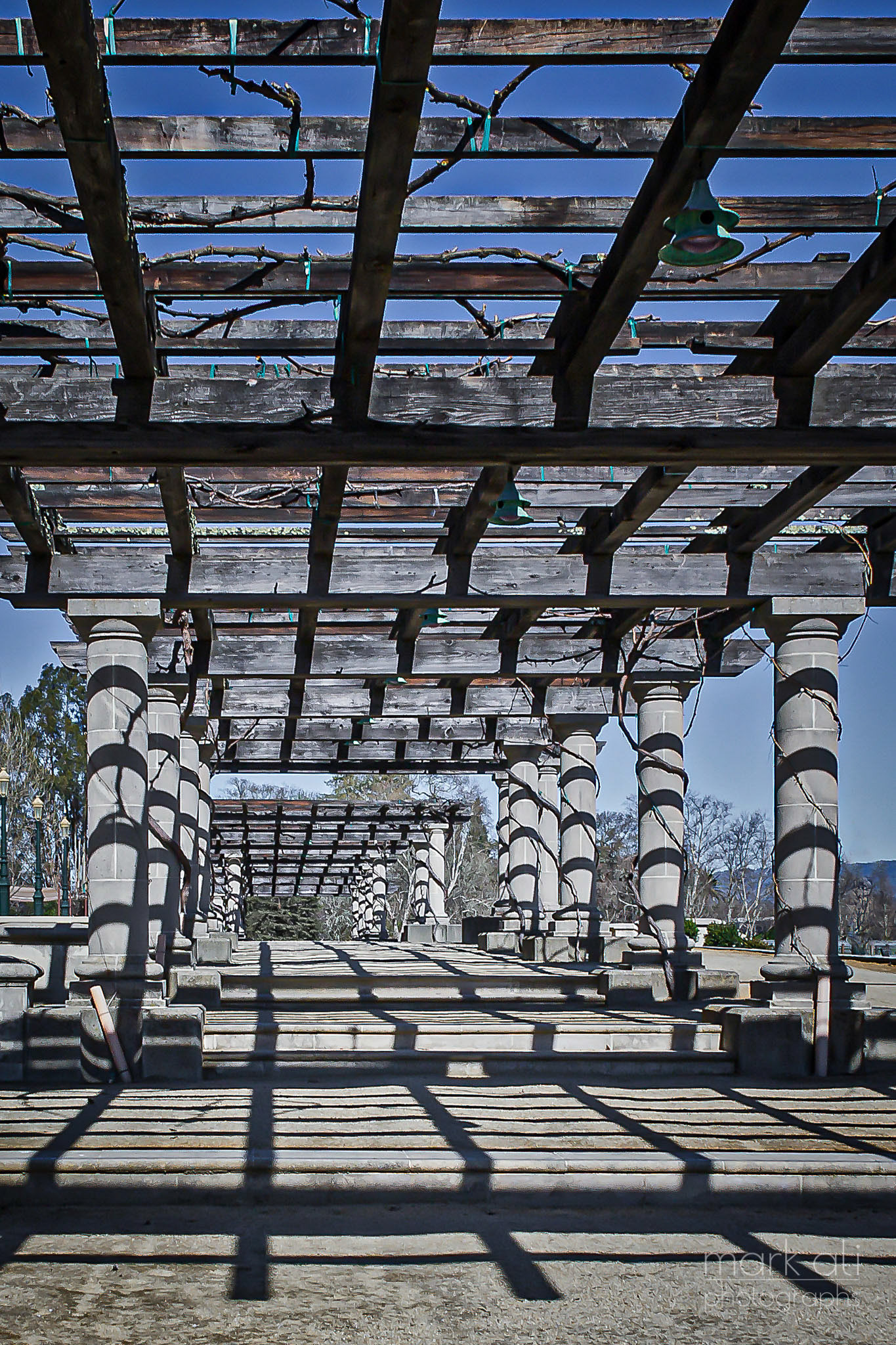 "Inglenook Pergola"