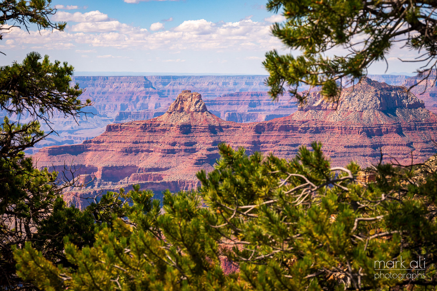 Grand Canyon 15