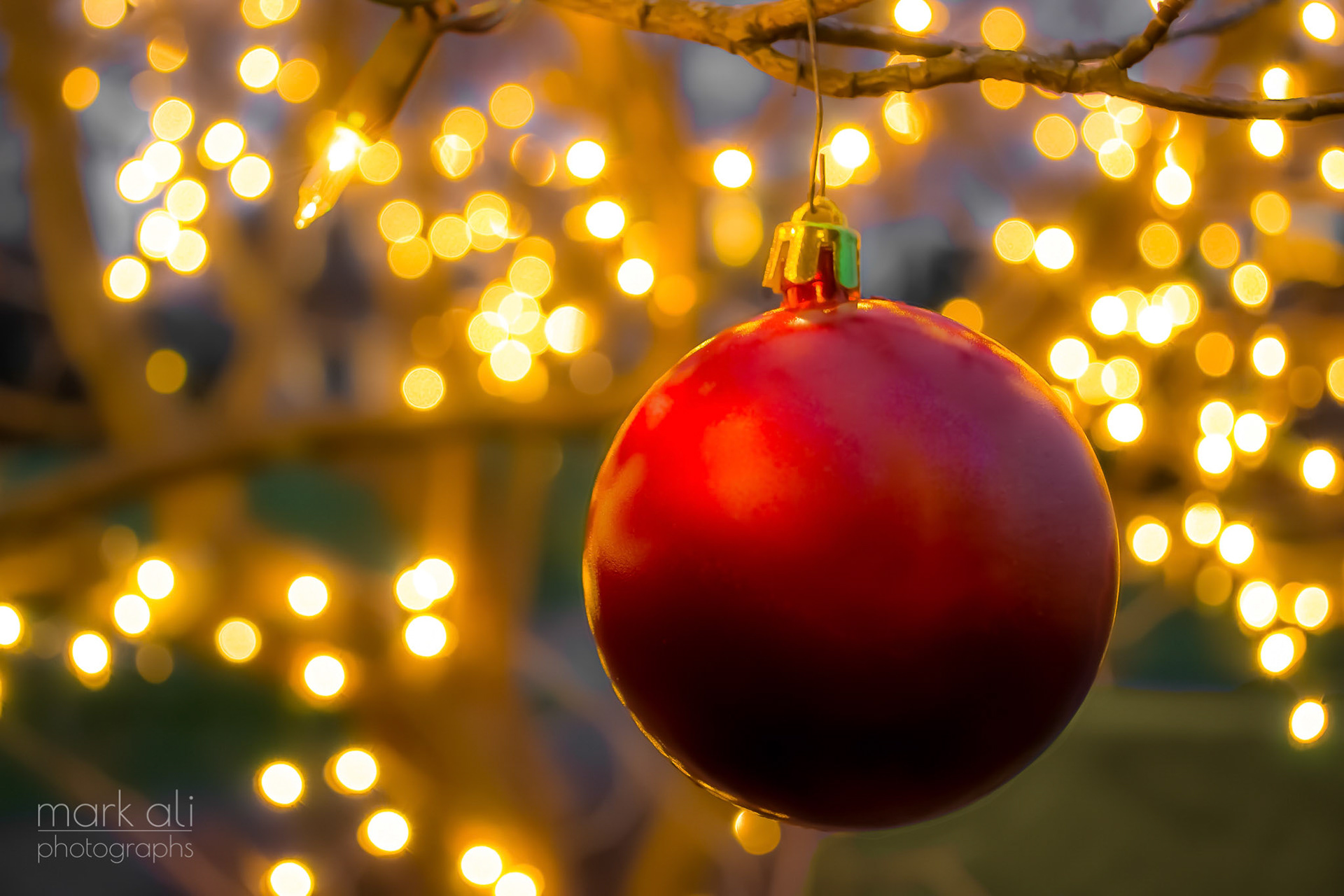 "Red Bulb"