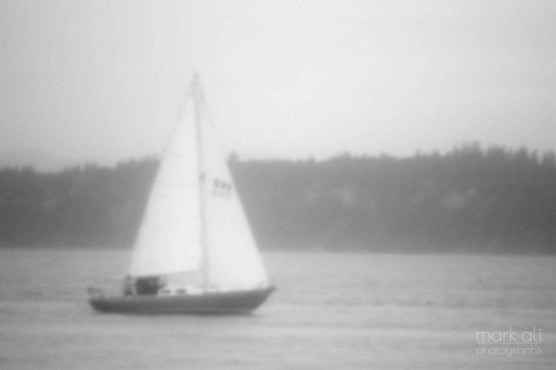 "Lonely Sailboat"