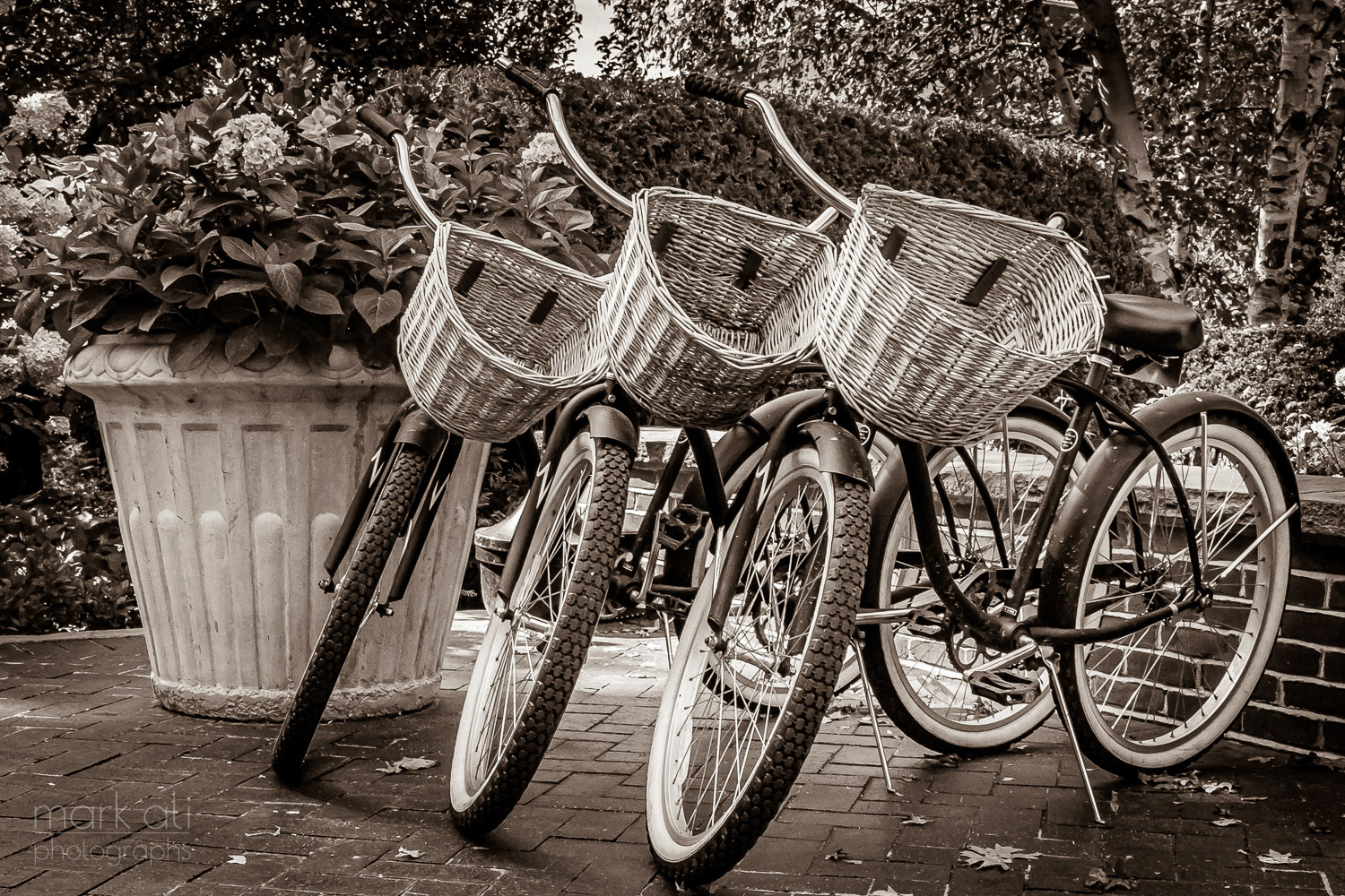"Woodstock Bicycles"