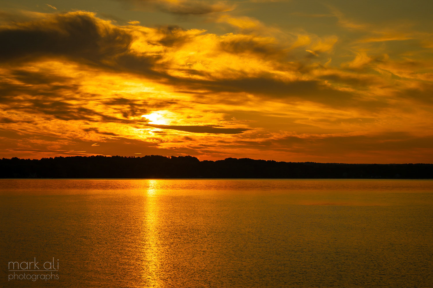 "Morning Color"