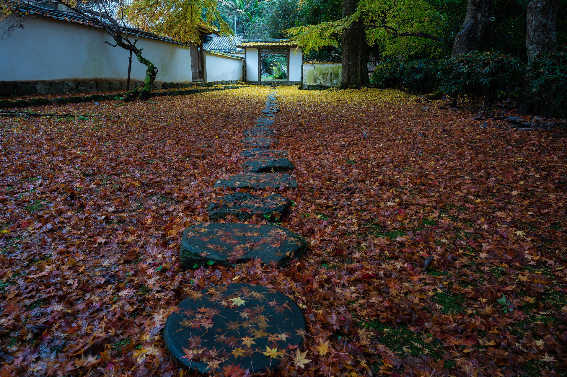 如法寺 Nyohou Temple