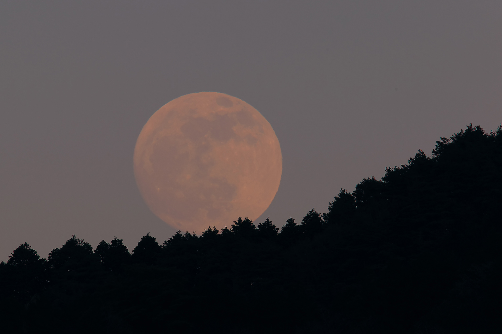 昇る満月 full moon
