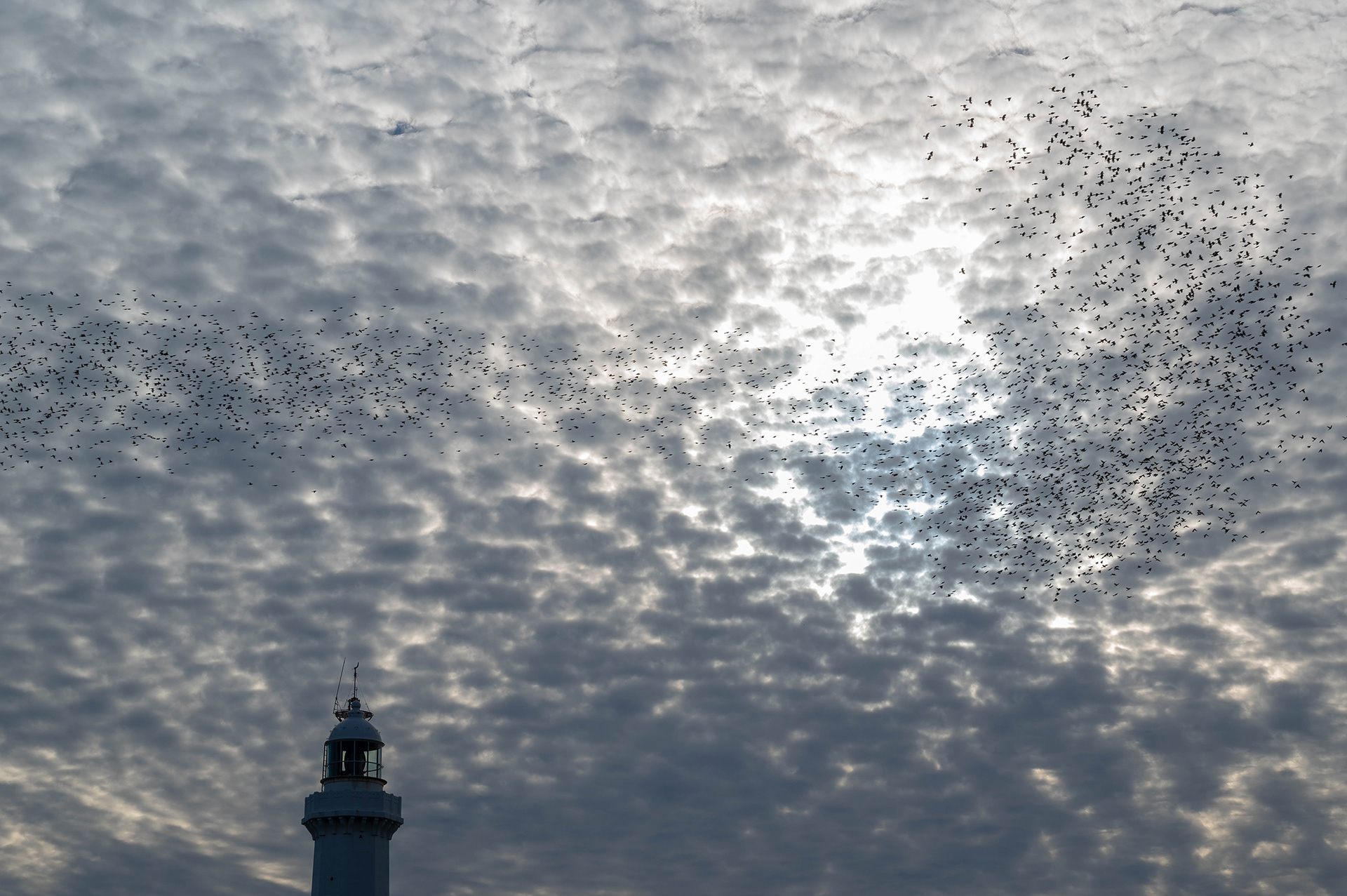 佐田岬灯台 Sadamisaki Lighthouse