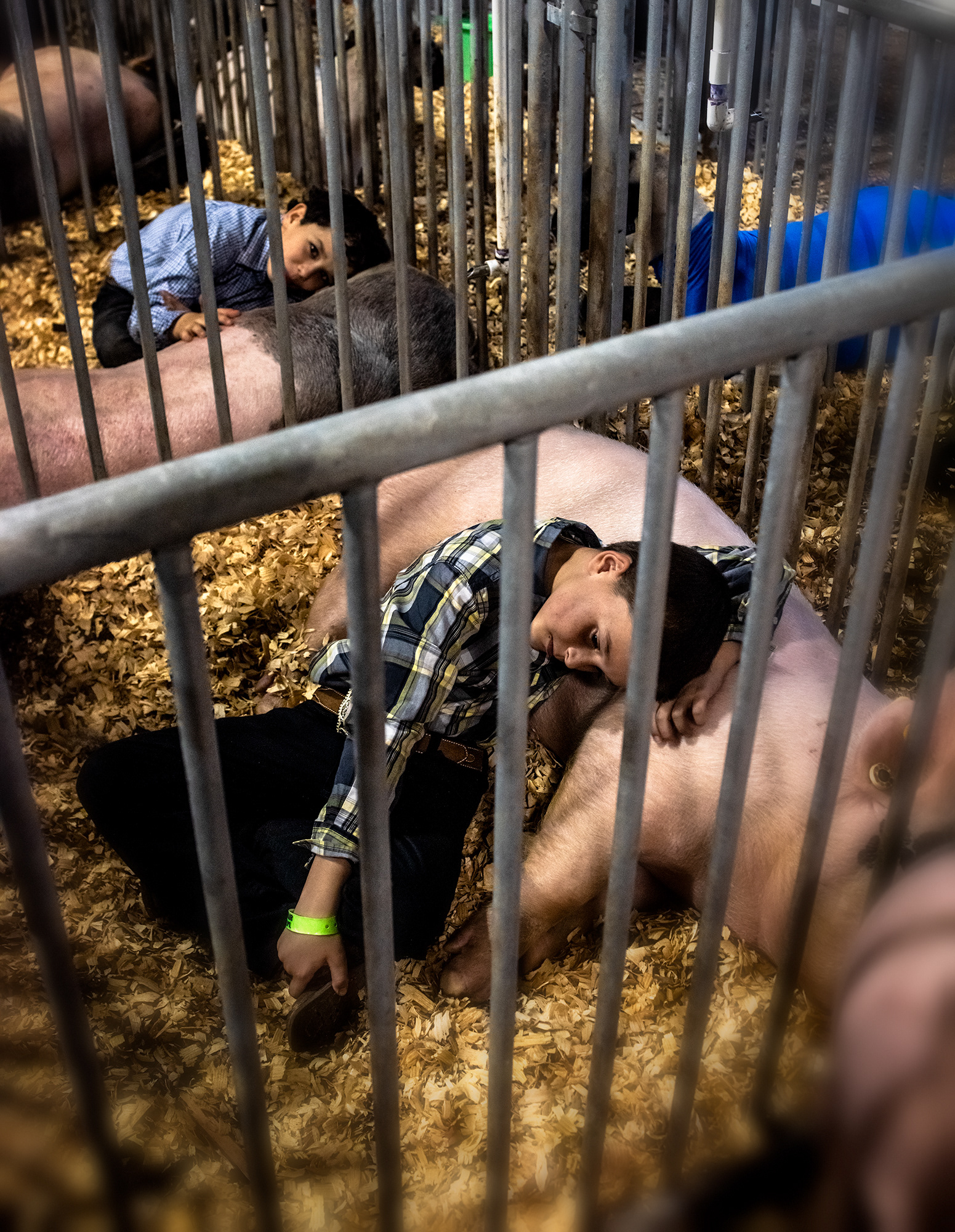Children spend final moments with the animals they had raised, before auction.