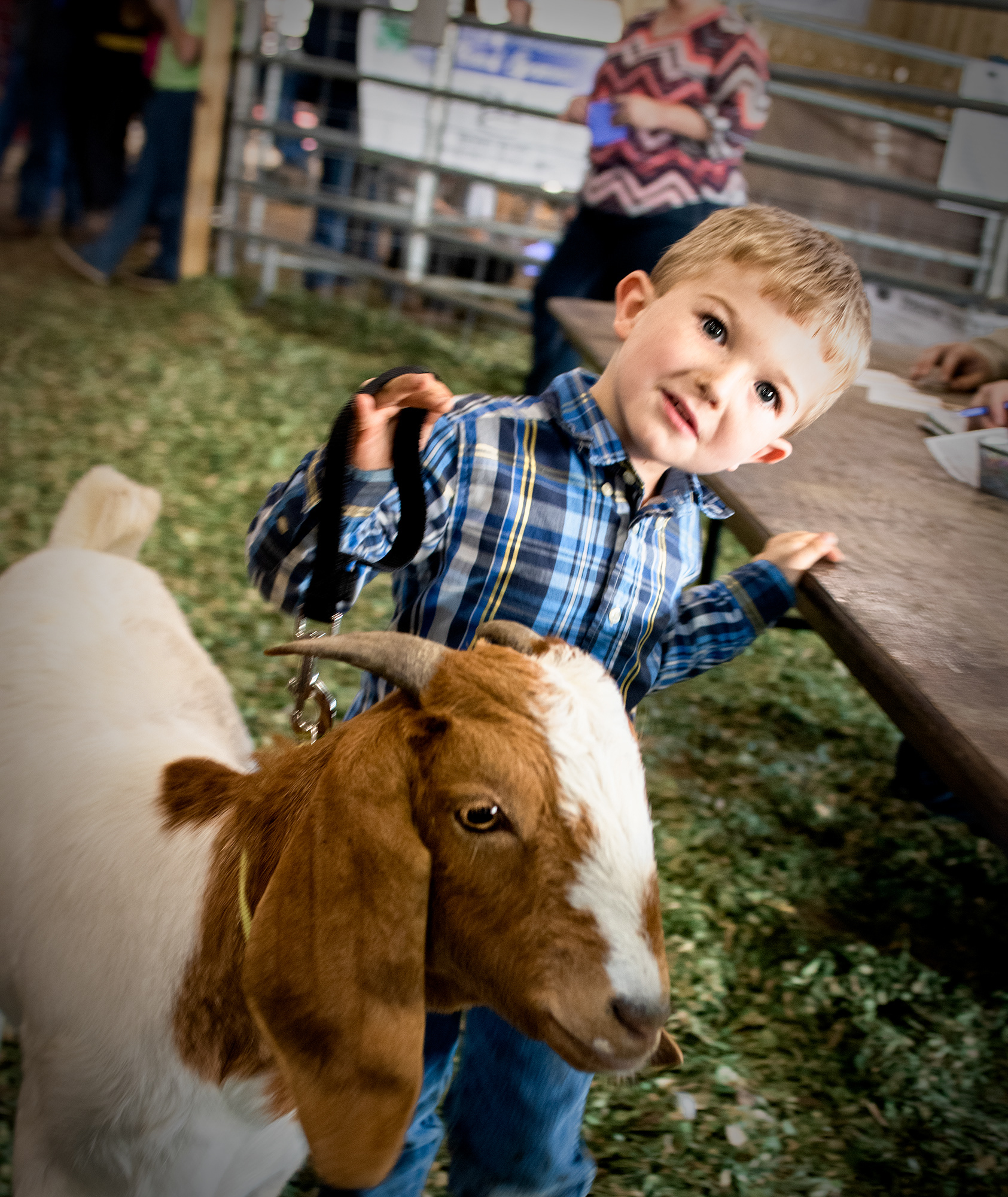 Children spend final moments with the animals they had raised, before auction.