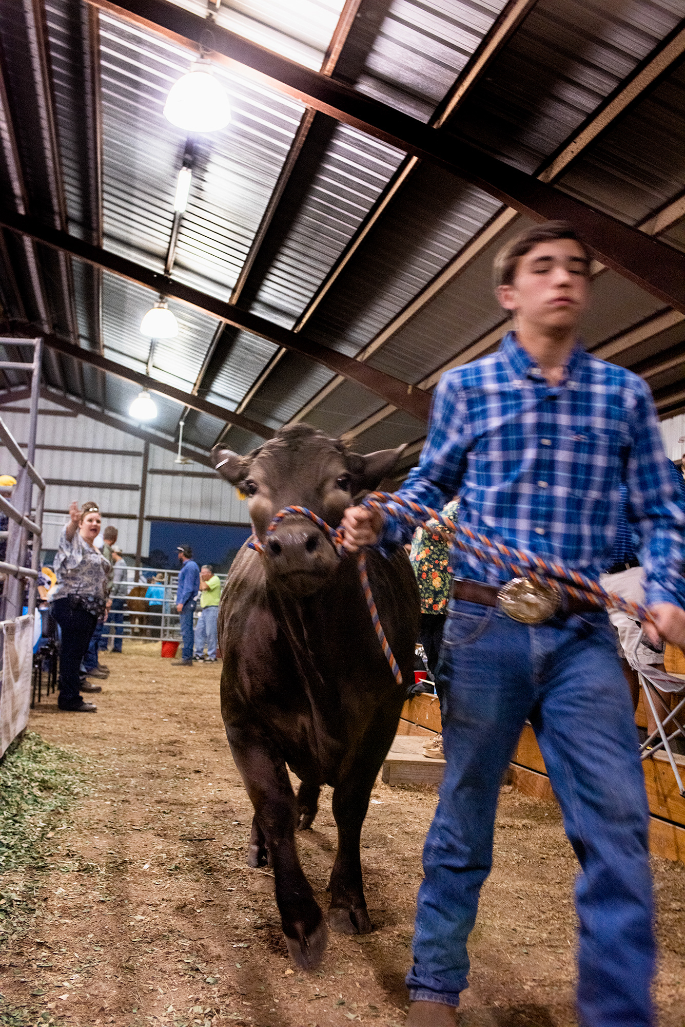 Children spend final moments with the animals they had raised, before auction.