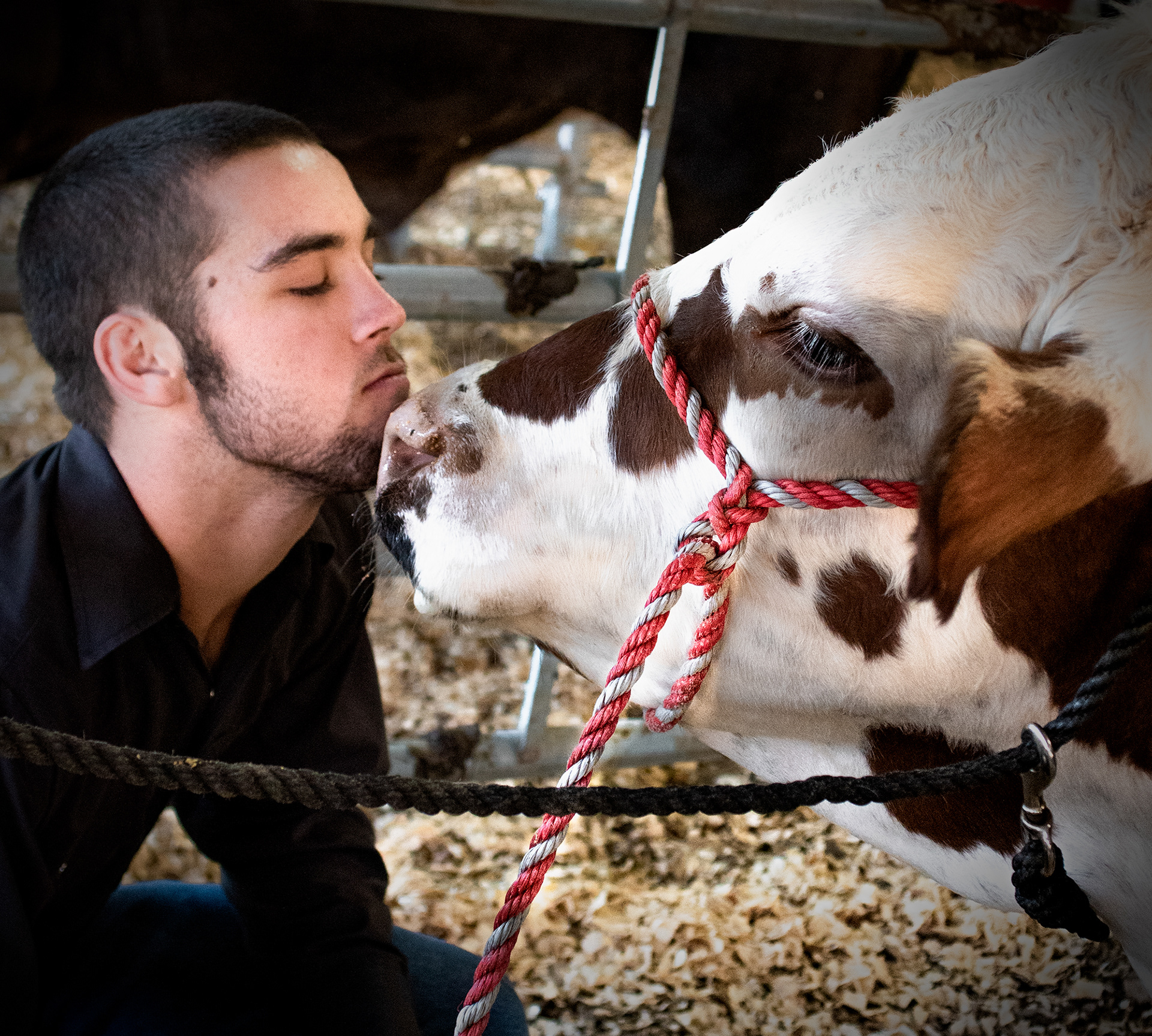 Children spend final moments with the animals they had raised, before auction.