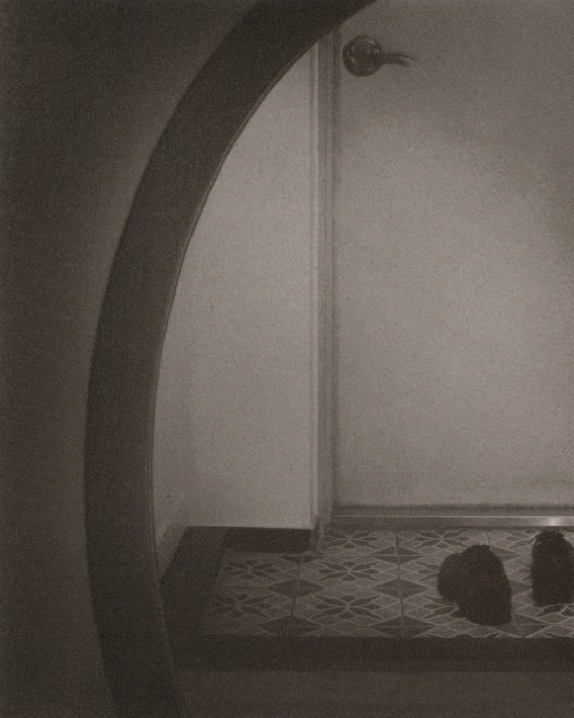 The Father's Touch Story_Shoes #3, Monochrome Gum Bichromate Print, 25.4x20.3cm, 2021