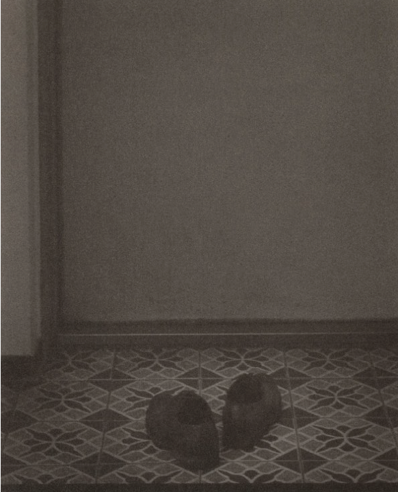 The Father's Touch Story_Shoes #4, Monochrome Gum Bichromate Print, 25.4x20.3cm, 2021