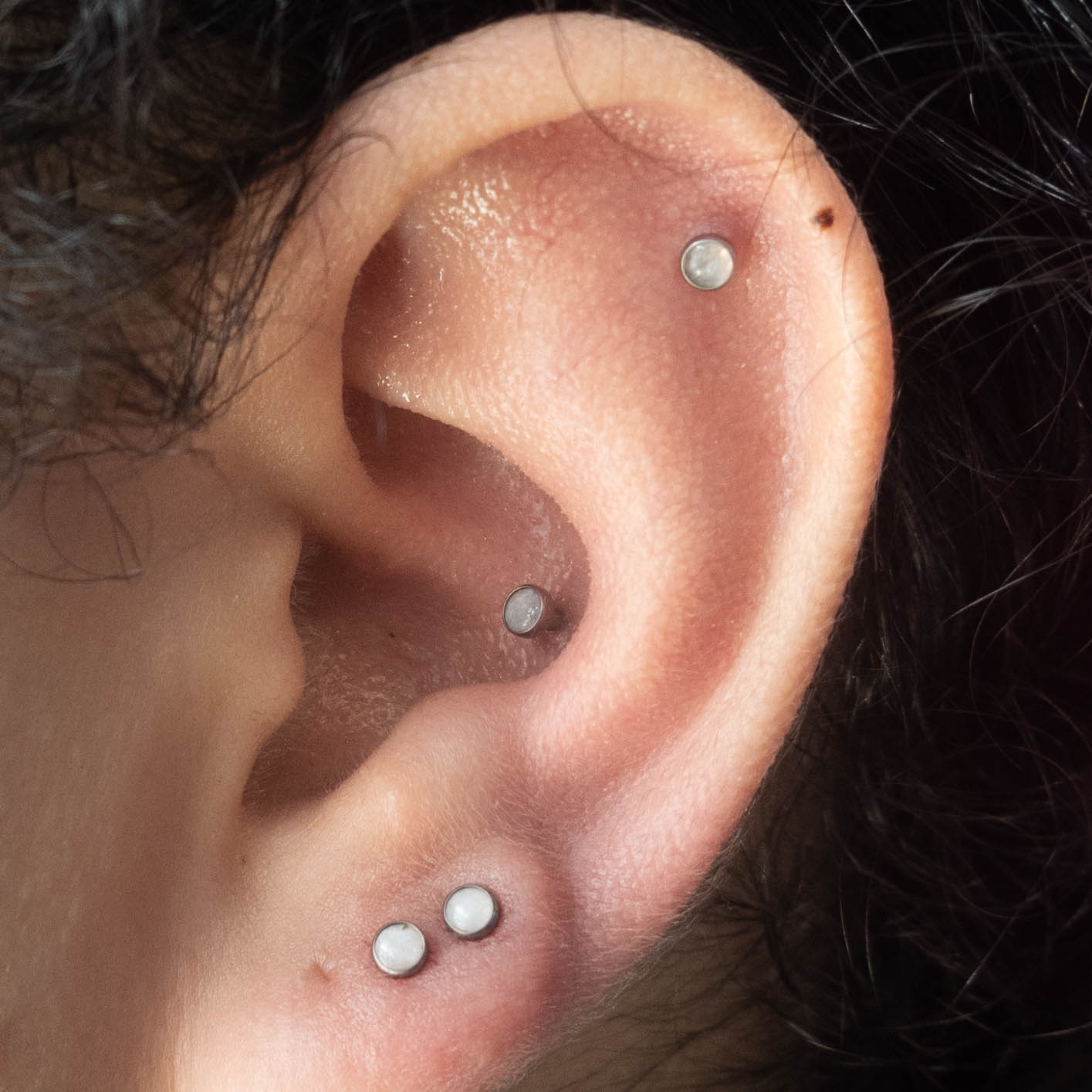 helix, conch and 2 lobes