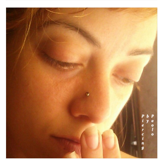 2x High Nostril w/ Natural Tigers Eye