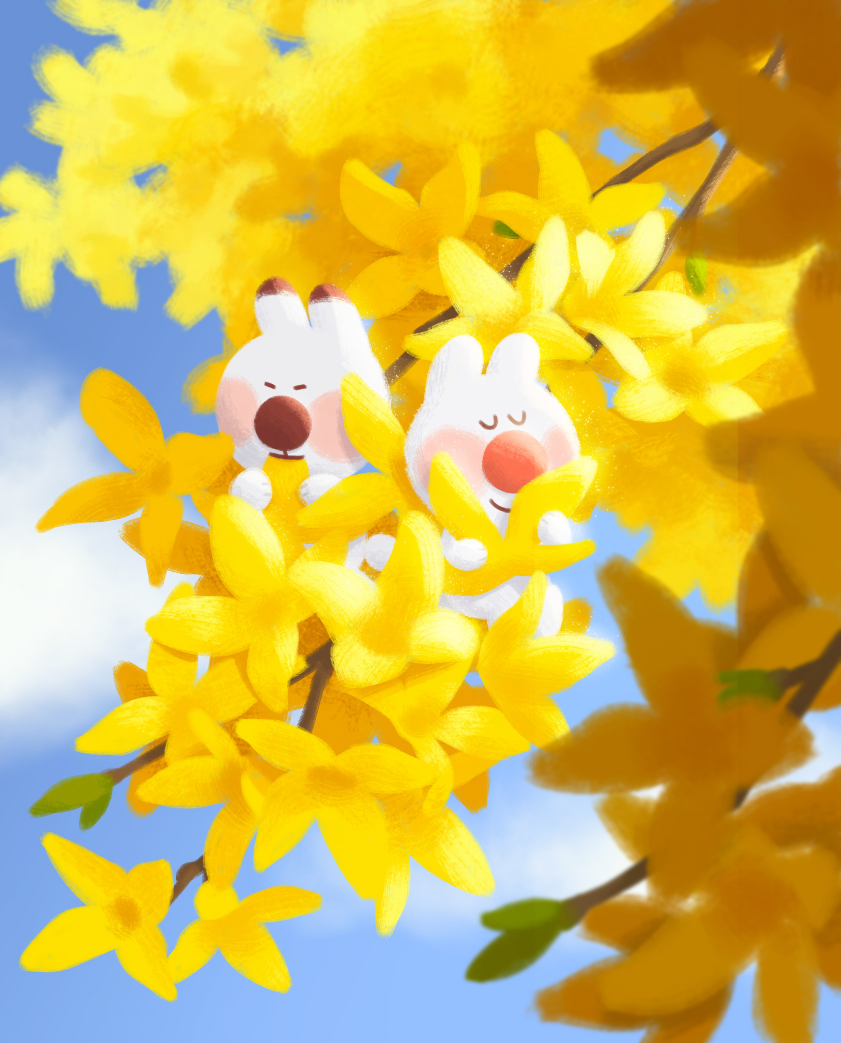 forsythias