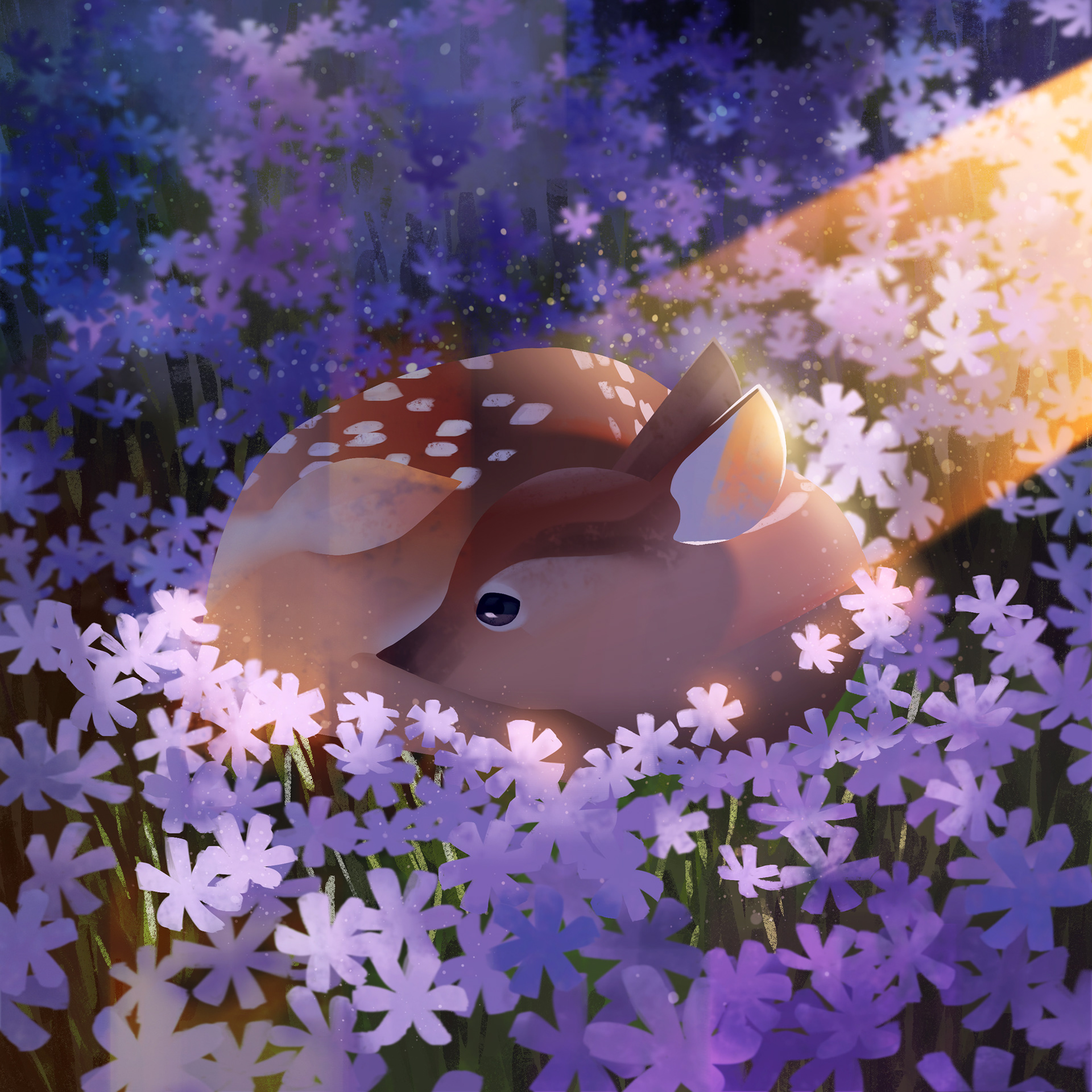dear deer