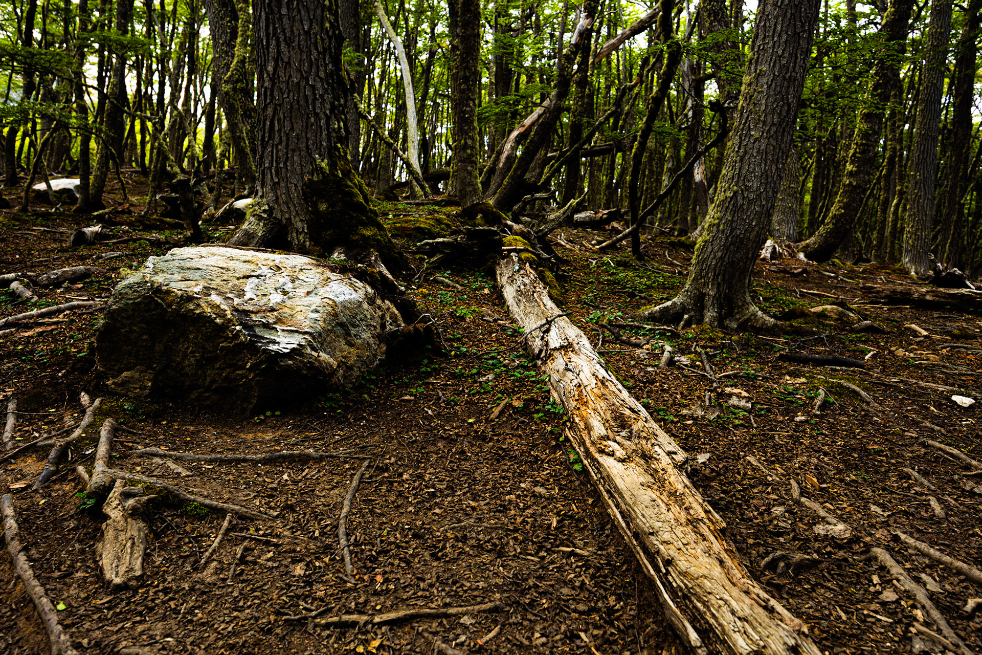 Ushuaia, trilha Lagoa Esmeralda  2025