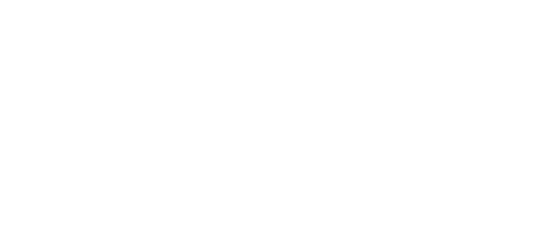 Anissa Meindl