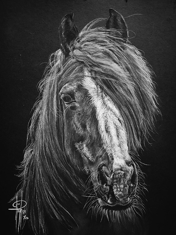 Horse3 9x12 with Frame $300