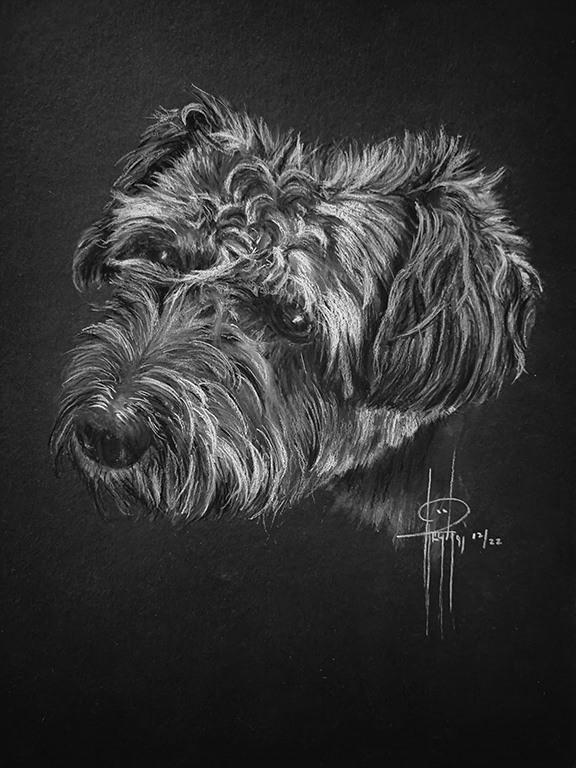 Commission 9x12 Franci