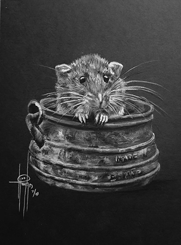 A Cutie 6x8 wMat $75