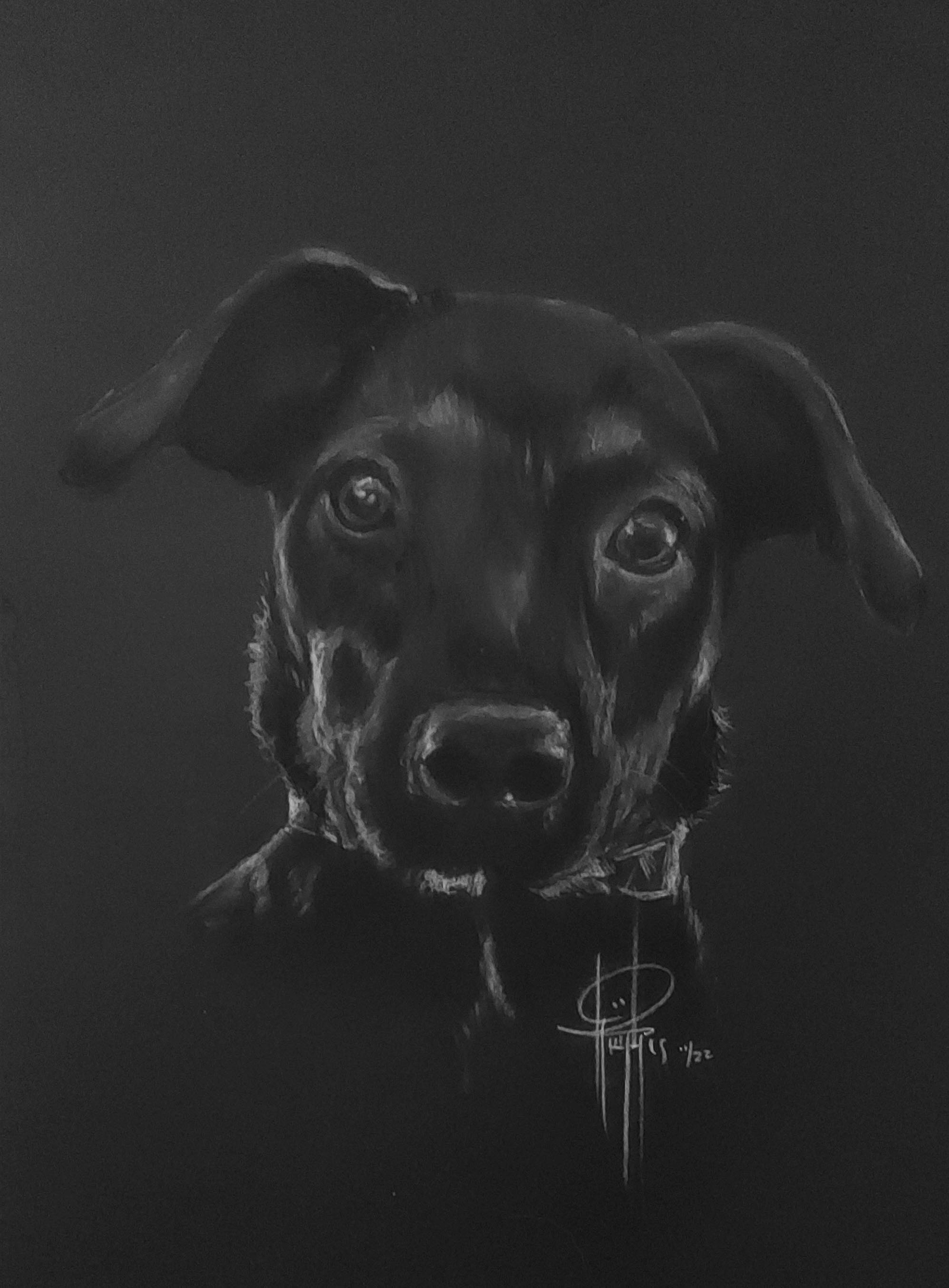 Commission 9x12