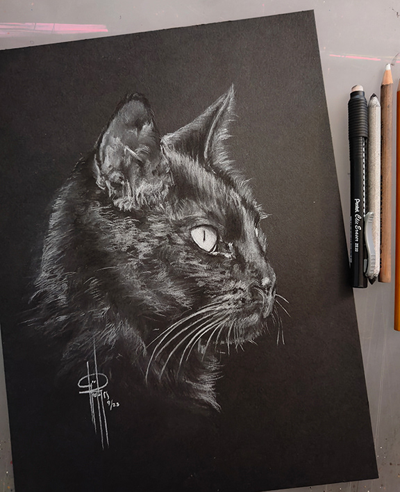Commision 9x12 Luci