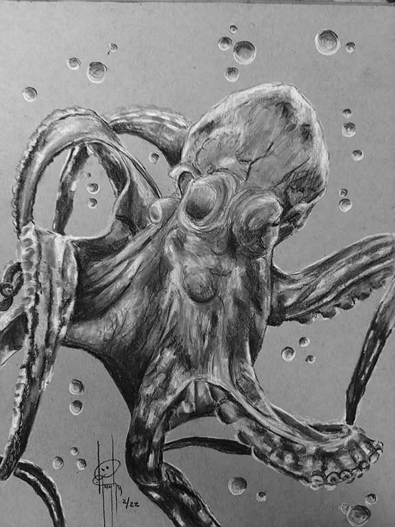 Octopus Charcoal 9x12