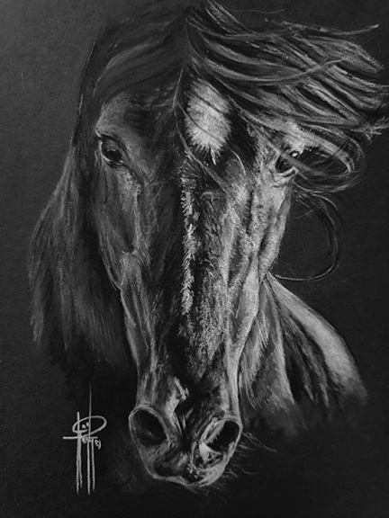 Black Horse 6x8 Charcoal wMat $95