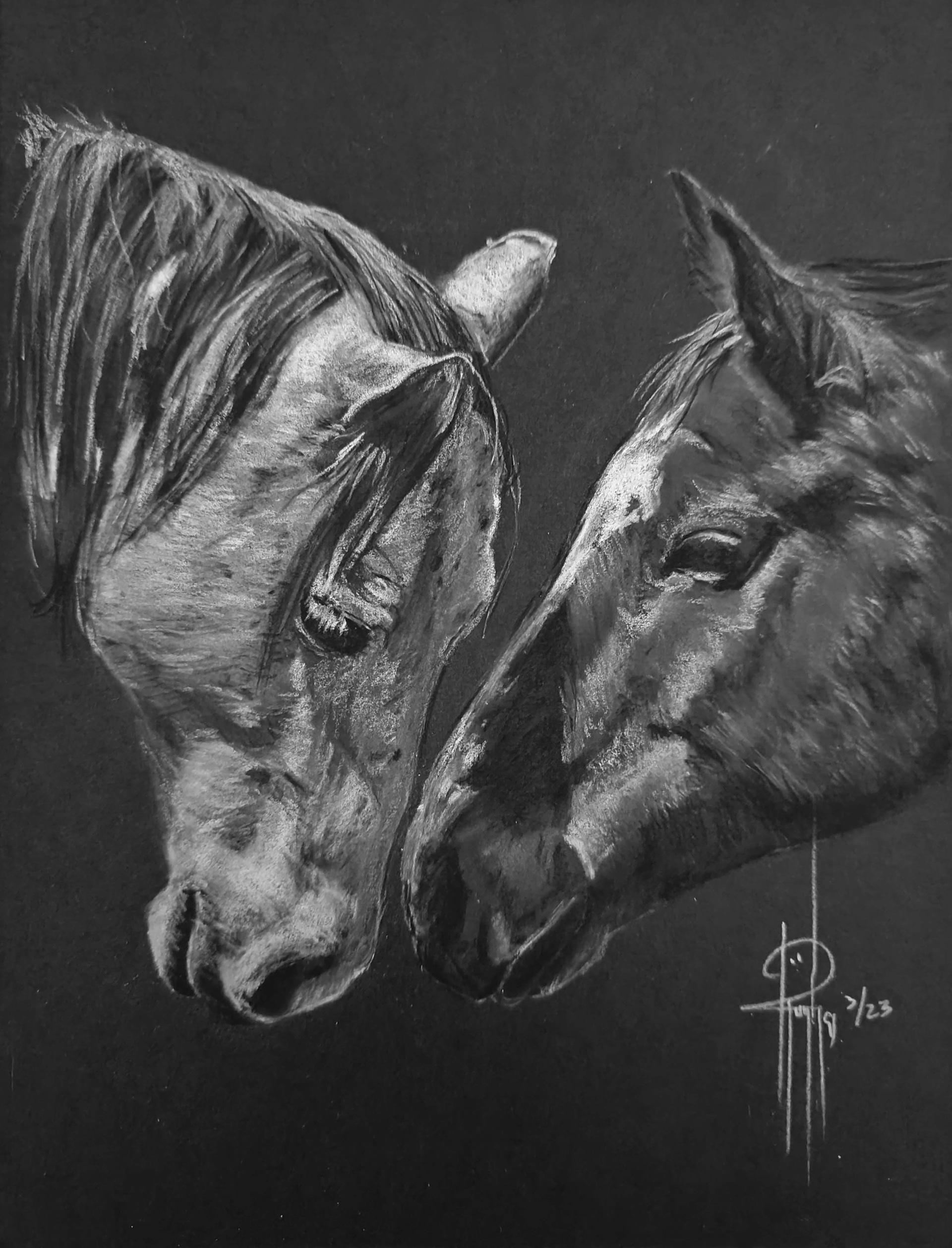 Nose to Nose 6x8 Charcoal $125 Framed