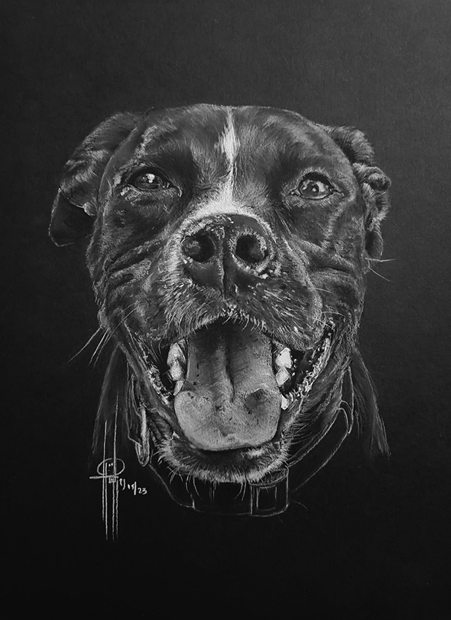Commission 9x12