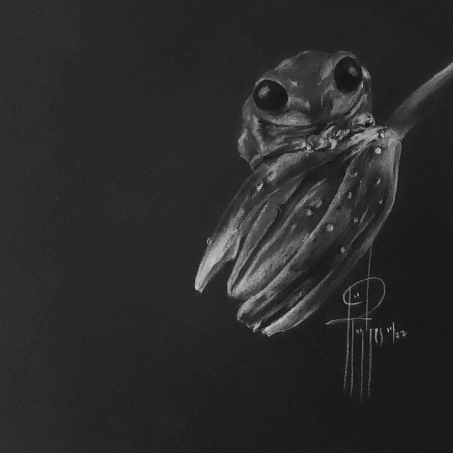 Hi There - 9X12 Charcoal $225 with frame