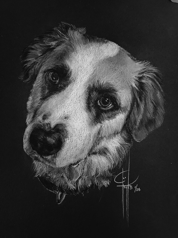 Commission Zeke Great Pyrenees 9x12 Strathmore Paper