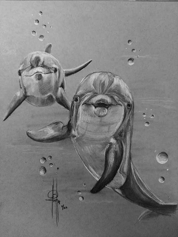 Dolphins Charcoal 9x12