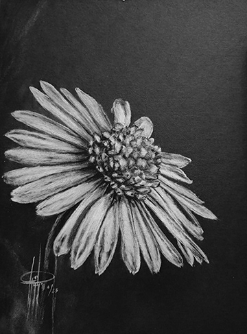 Daisy 8x6 wMat $75