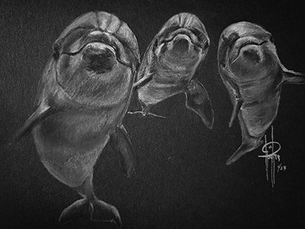 Dolphins 6x8 wMat $75