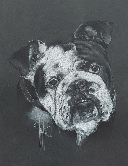 Bulldog 9x12 Charcoal