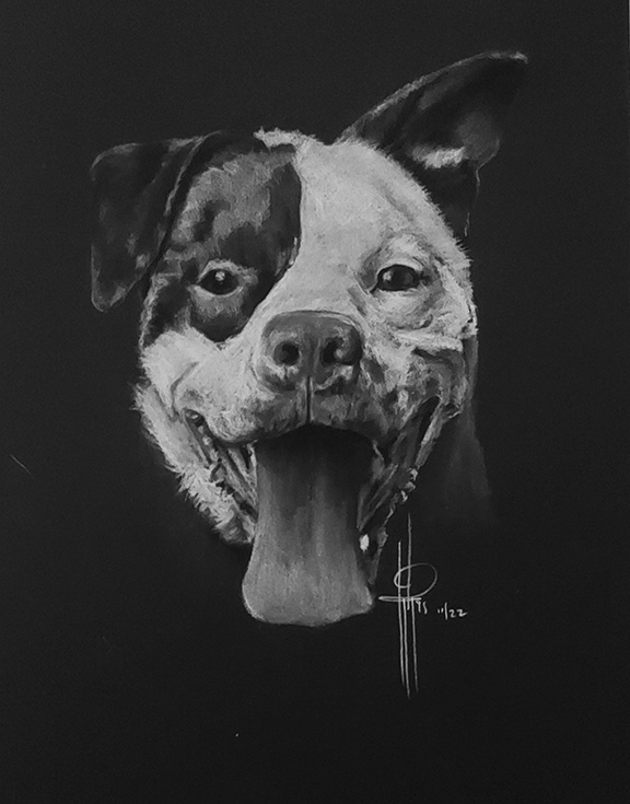 Commission 9x12 Duke